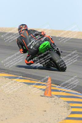 media/Feb-04-2023-SoCal Trackdays (Sat) [[8a776bf2c3]]/Turn 10 Backside (1010am)/